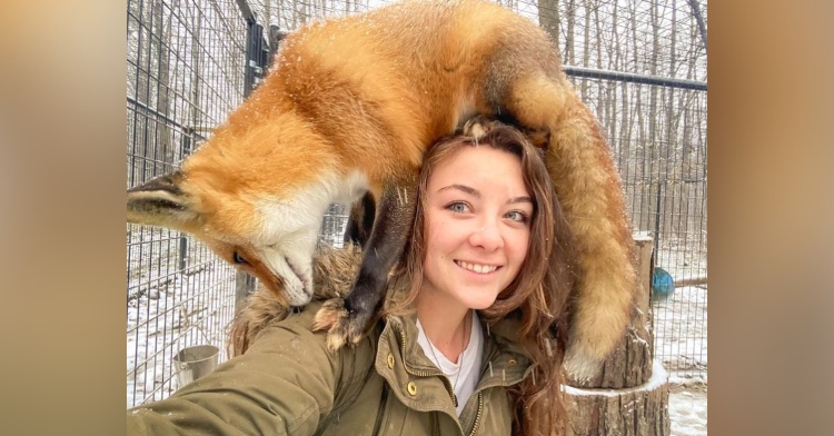 kimberly defisher smiling as Porsha the fox stands on her shoulders and rests her body on kimberly’s head.
