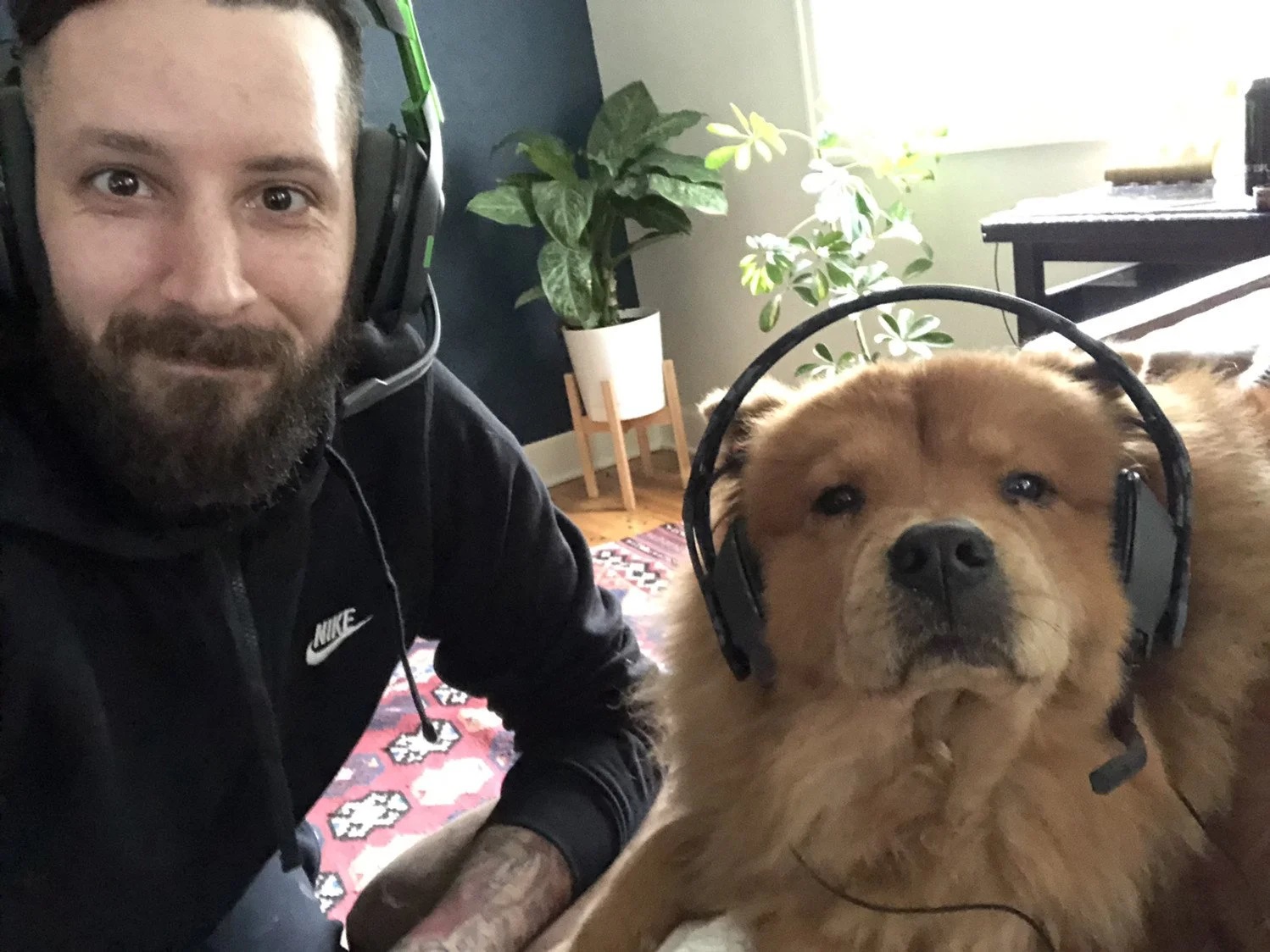 man and dog both wearing headphones, preparing to play video games together