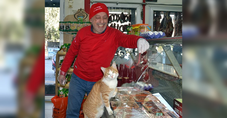 ikram korkmazer smiling as he looks down at a cat. he's holding out a raw piece of meat, while wearing gloves, to the cat who is steading on their hindlegs and leaning on the clear case holding meat.