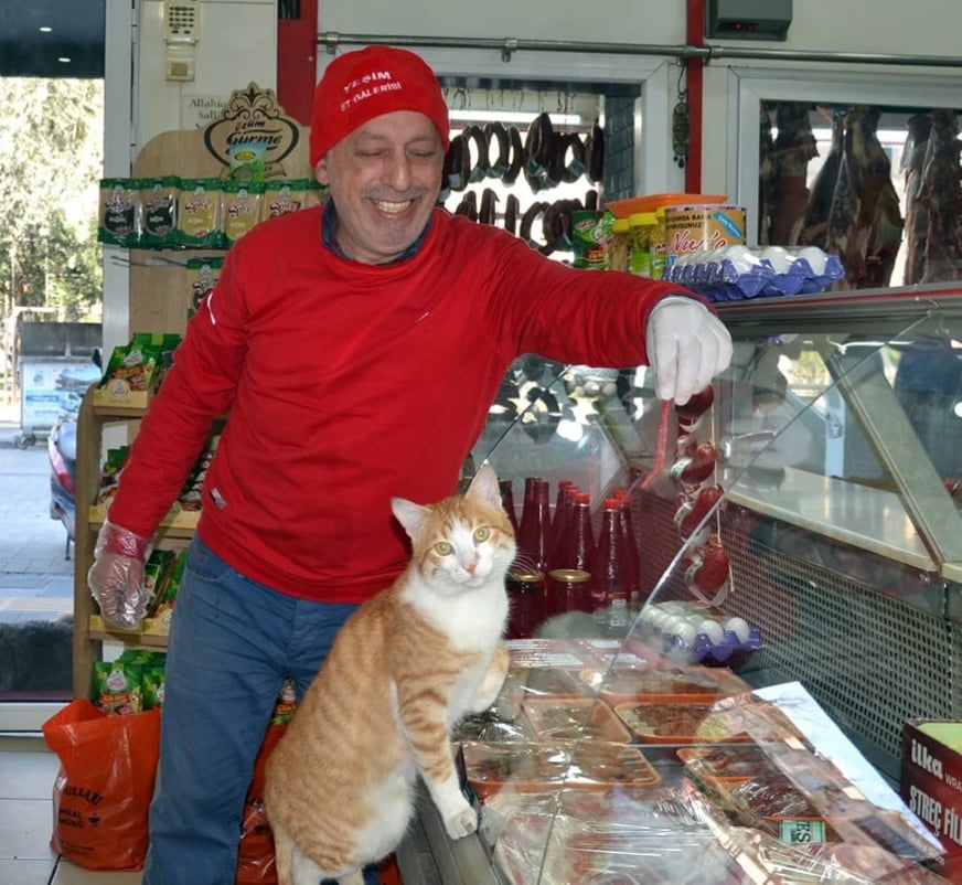 ikram korkmazer smiling as he looks down at a cat. he's holding out a raw piece of meat, while wearing gloves, to the cat who is steading on their hindlegs and leaning on the clear case holding meat.