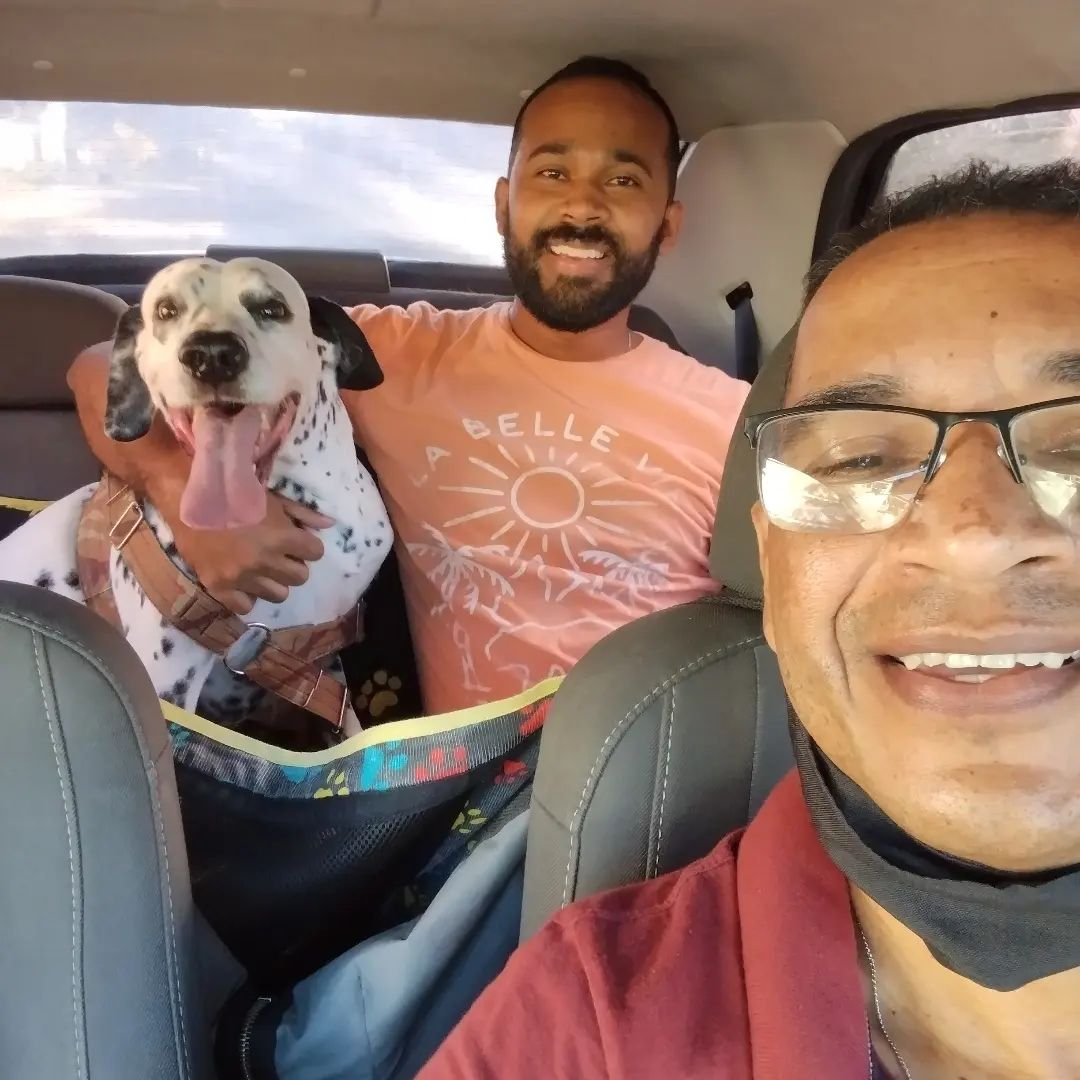 Hamilton Taurino in car with passenger and dalmatian dog