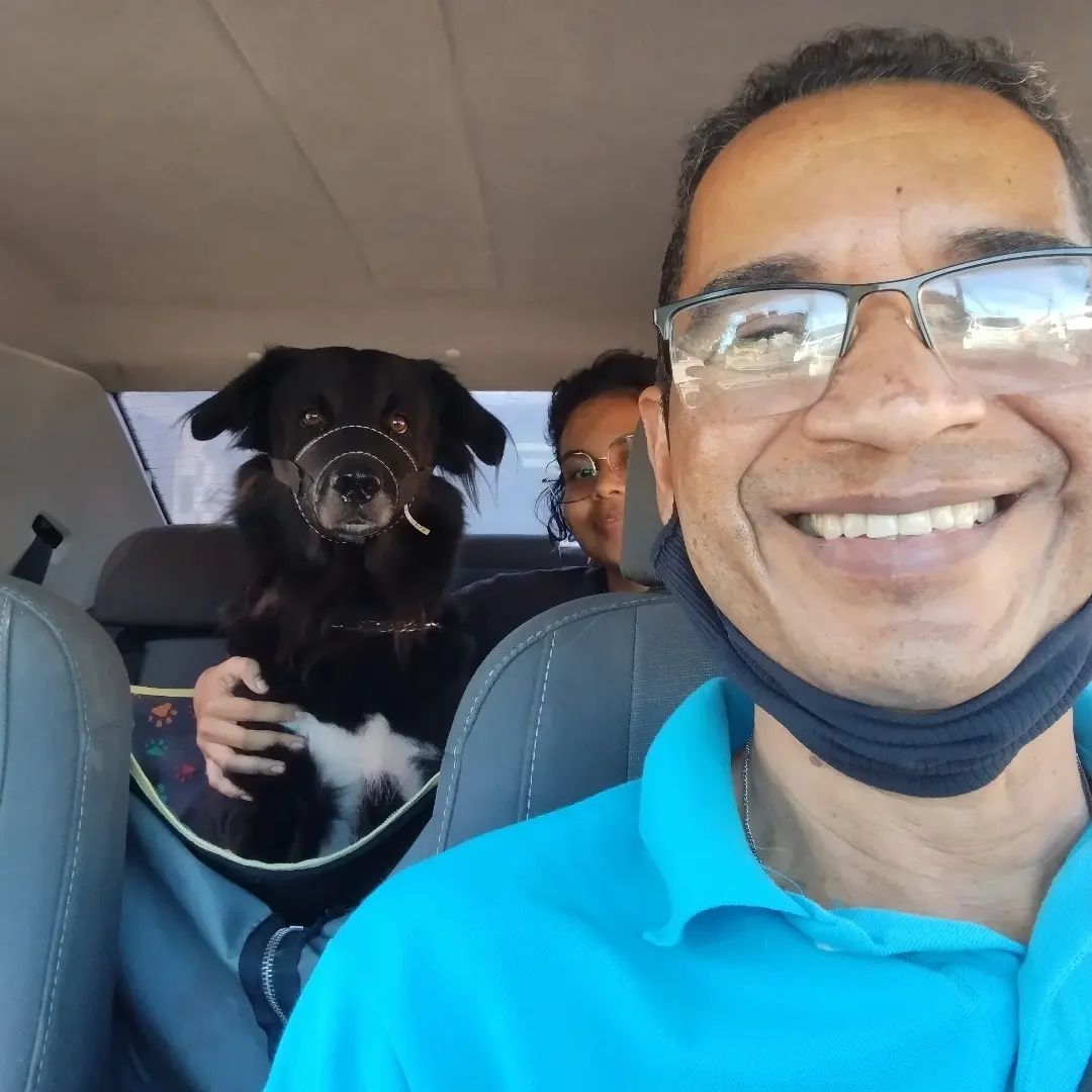 Hamilton Taurino in car with black dog wearing a muzzle with owner