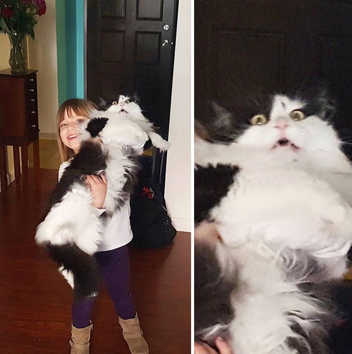 child holds fluffy black and white cat who looks scared.