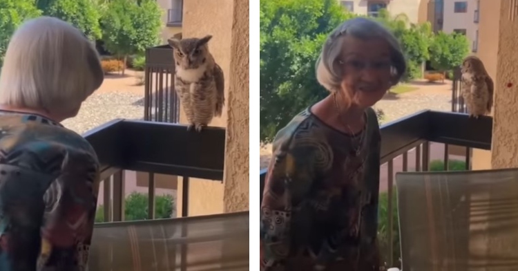 a two-photo collage. the first is of grandma ranna talking to an owl. we see ranna from the back and the owl who is sitting on the railing just in front of her. the second is of ranna looking back at the camera as she smiles. the owl sits in the same spot on the railing.