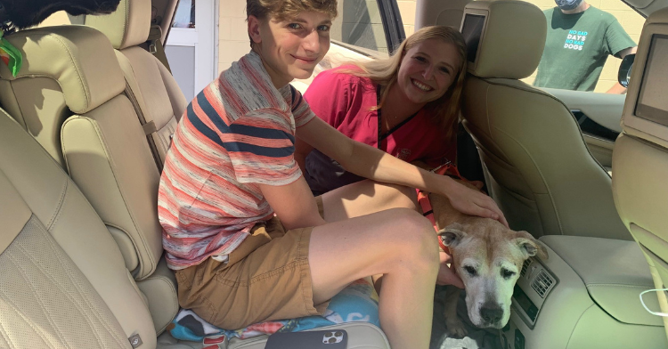 amy kidd's children smiling with the dog netty in the car