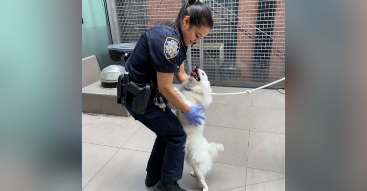 aruna maharaj smiling as she leans over and pets a white dog. the dog is smiling, tongue out, as he stands excitedly on his back legs to jump on the officer maharaj who is in uniform.