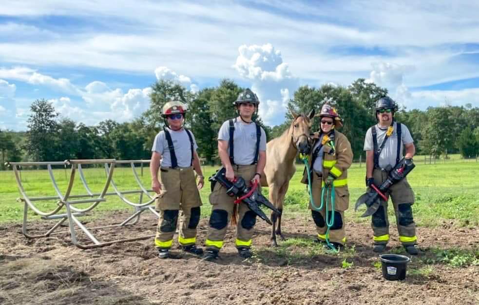 pixie, now free from the hay rack, posing with four firefighters who got her free.