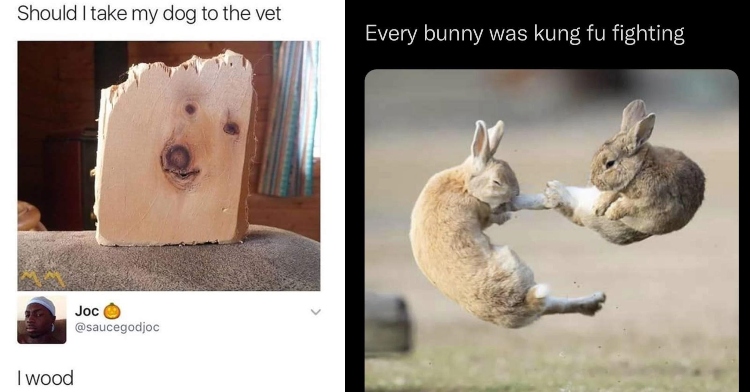 a two-photo collage. on the left there is a picture of a piece of wood that has what it looks like the face of a dog on it. and a caption that says "should i take my dog to the vet." and a response from a twitter user that says "i wood." and on the right there is a picture of two bunnies that look like they are kung fu fighting and a caption that says "every bunny was king fu fighting"