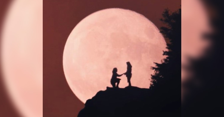 silhouettes of andrew renfro and abby powell as they stand on a mountaintop. andrew is on one knee, proposing. the super moon is just behind them.