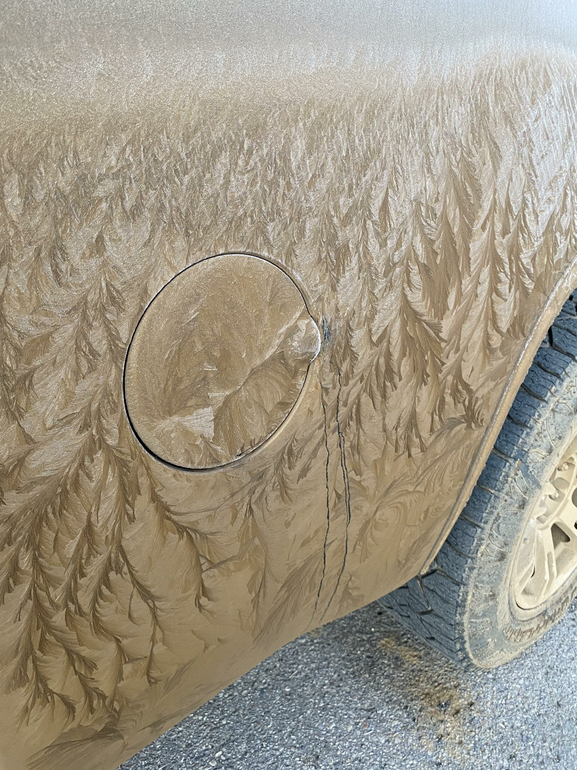 mud that looks like a pine forest frozen onto the side of a truck.