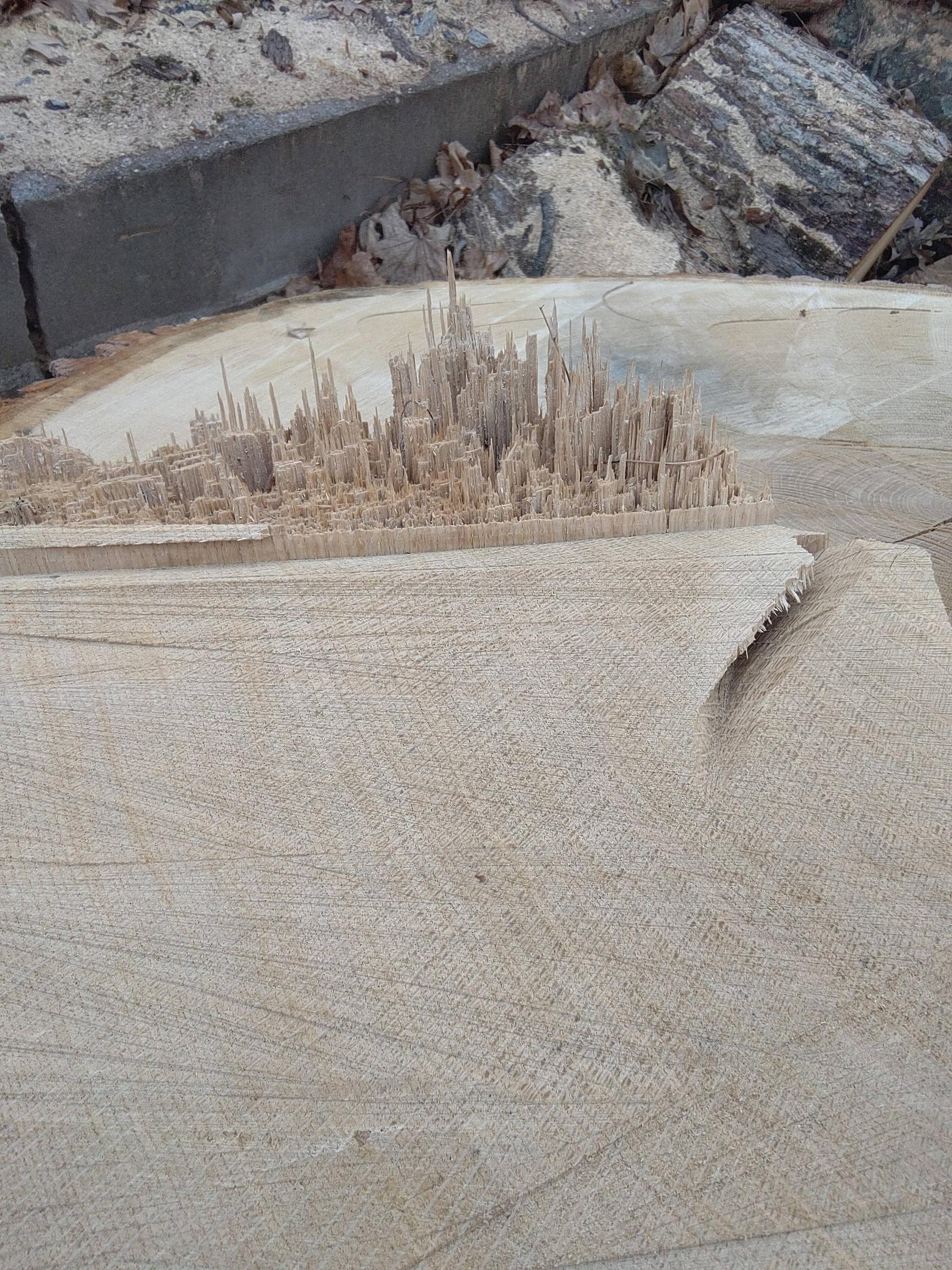 cut tree stump has a jagged section that looks like a city scape rising up from the wood.