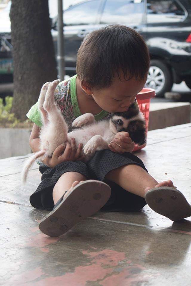 little boy holding a puppy and kissing its head