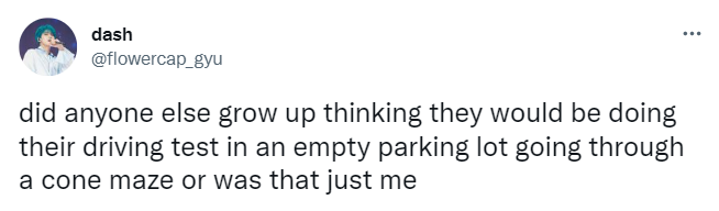 tweet says did anyone else grow up thinking they would be doing their driving test in an empty parking lot going through a cone maze or was that just me