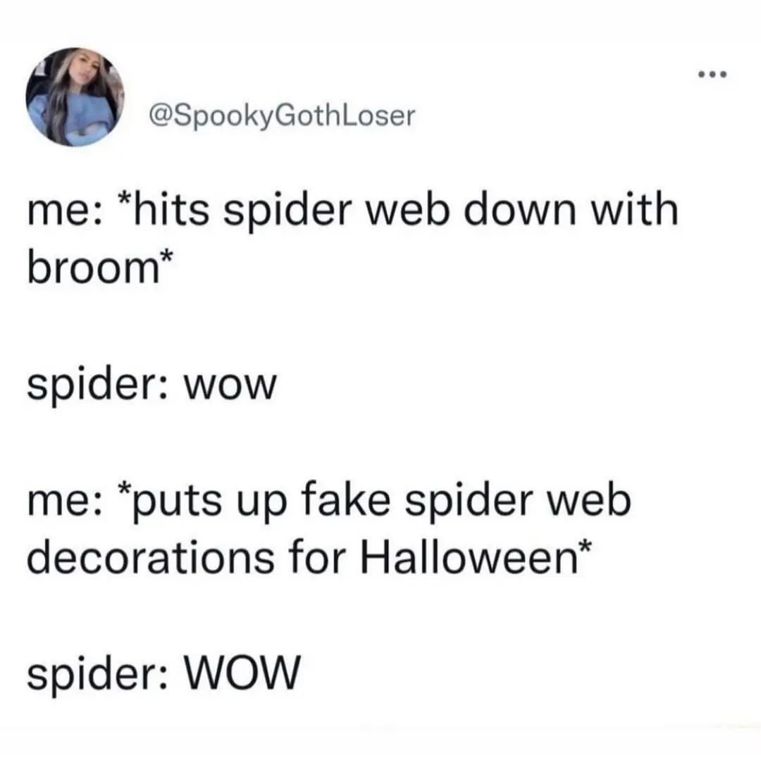 Me: hits spider web down with broom
spider: wow
me: puts up fake spider web decorations for Halloween
Spider; WOW