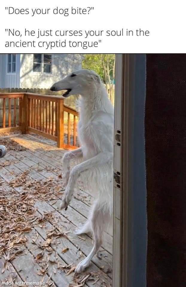 tall white dog standing on his hind legs outside door. Text says "does your dog bite?" followed by "No, he just curses your soul in ancient cryptic tongue."