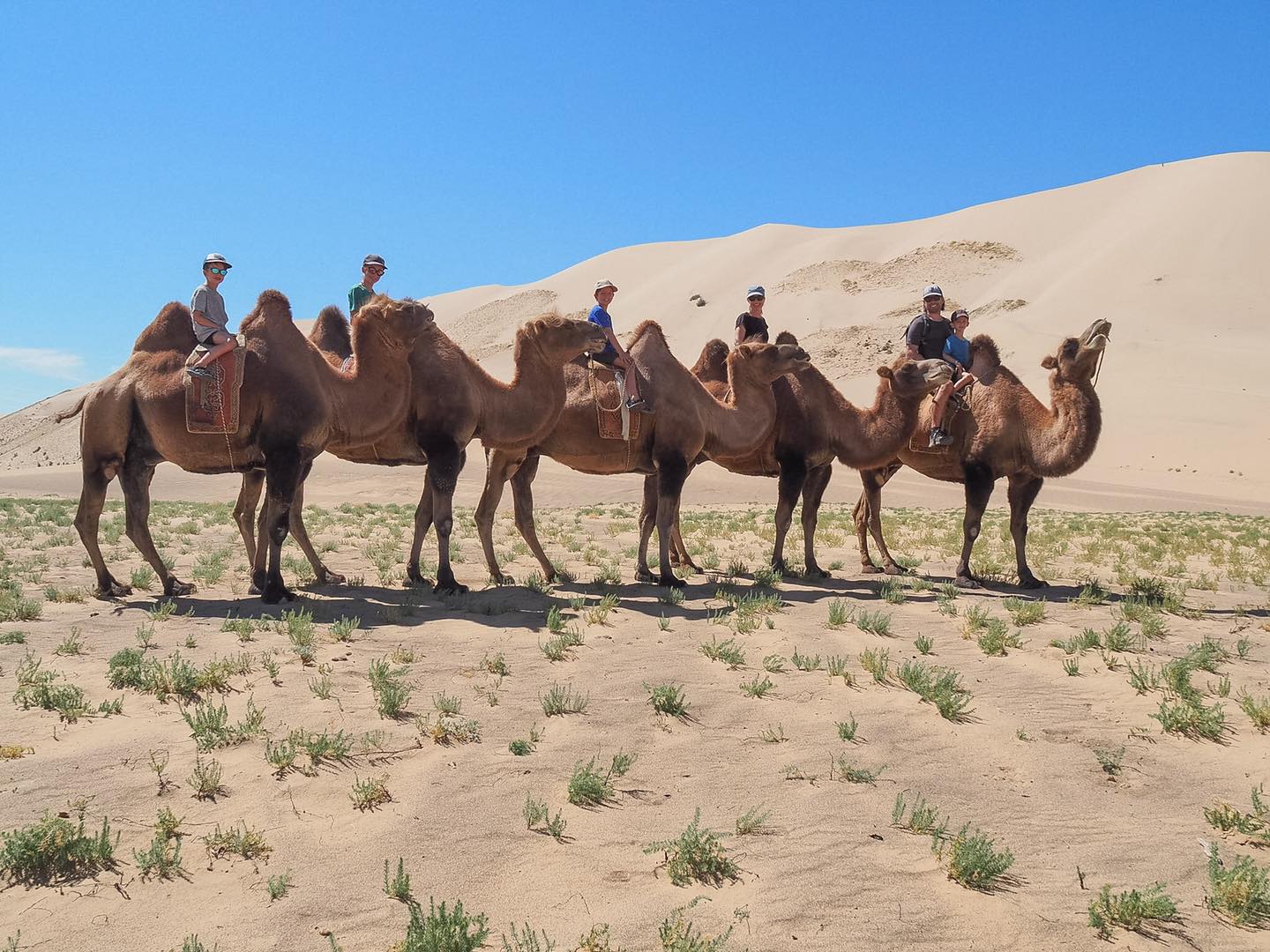 Pelletier Lemay family riding camels in the middle east