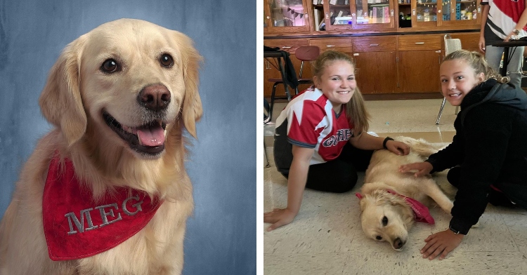 Meg the school therapy dog in yearbook photo and with 2 smiling students