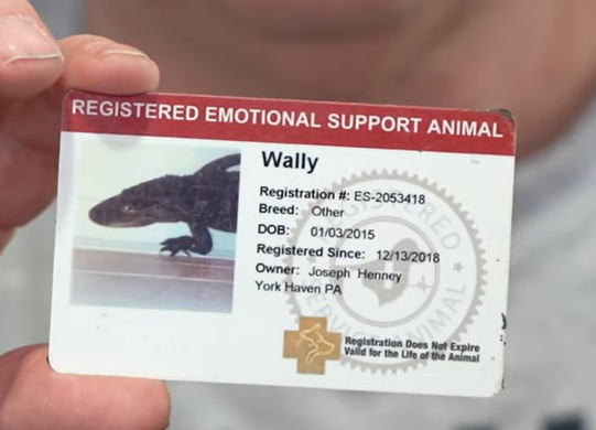 Wally Gator's emotional support animal card