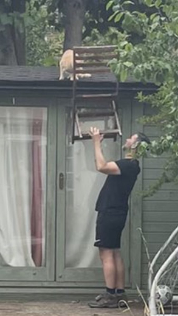 man using a chair to help stuck cat off roof