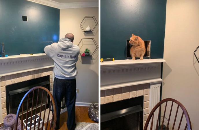 man cuts hole in wall to help cat who got stuck inside