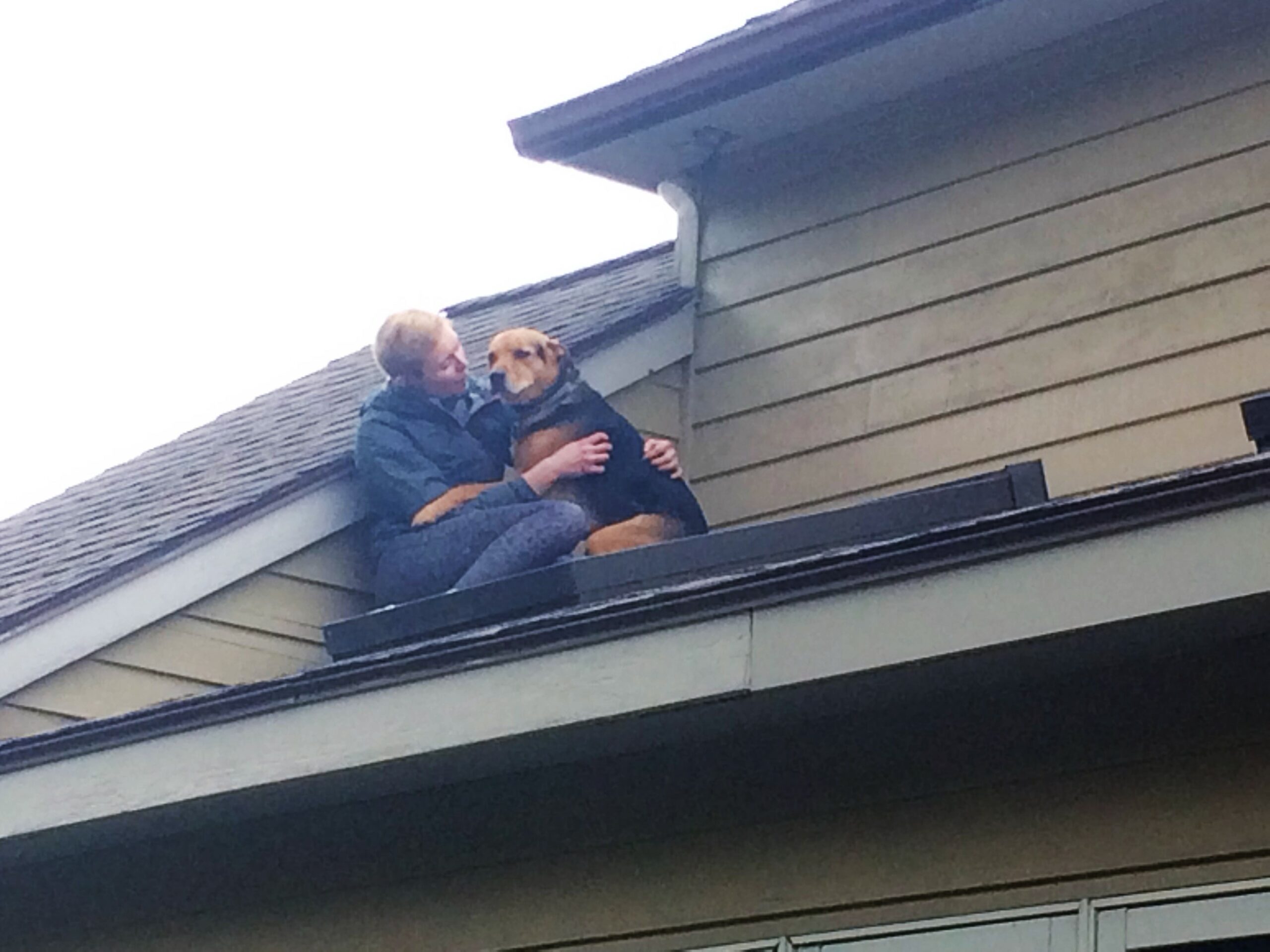 woman comforts dog who got stuck on porch roof after escaping through upstairs window.