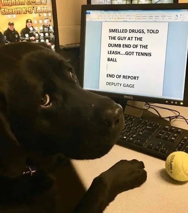 black police dog filing funny report on his computer screen.