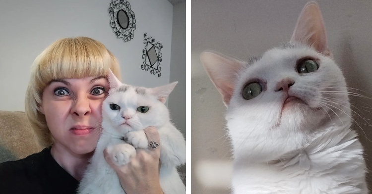 Grumpy cat Widget and owner Michelle Roberts