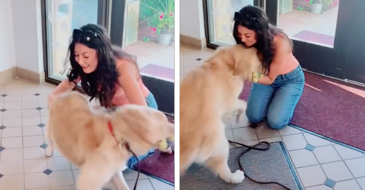 a two-photo collage showing different screenshots of hospice worker reuniting with her dog taters.