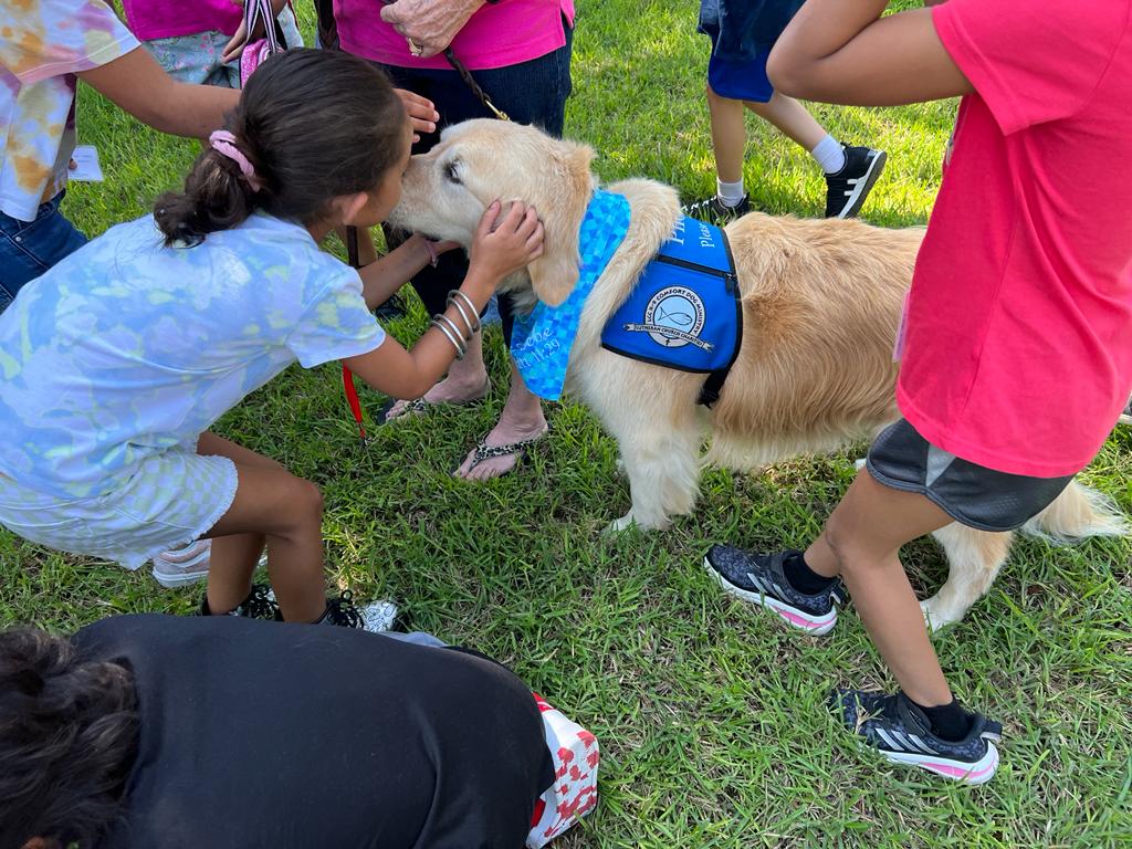 a little girl bending down to kiss a golden retriever. other students stand nearby. 