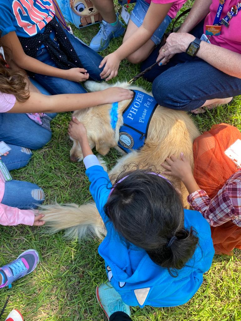 top-down view of several students sitting in a circle as they pet the golden retriever laying on the grass in the middle of them all.