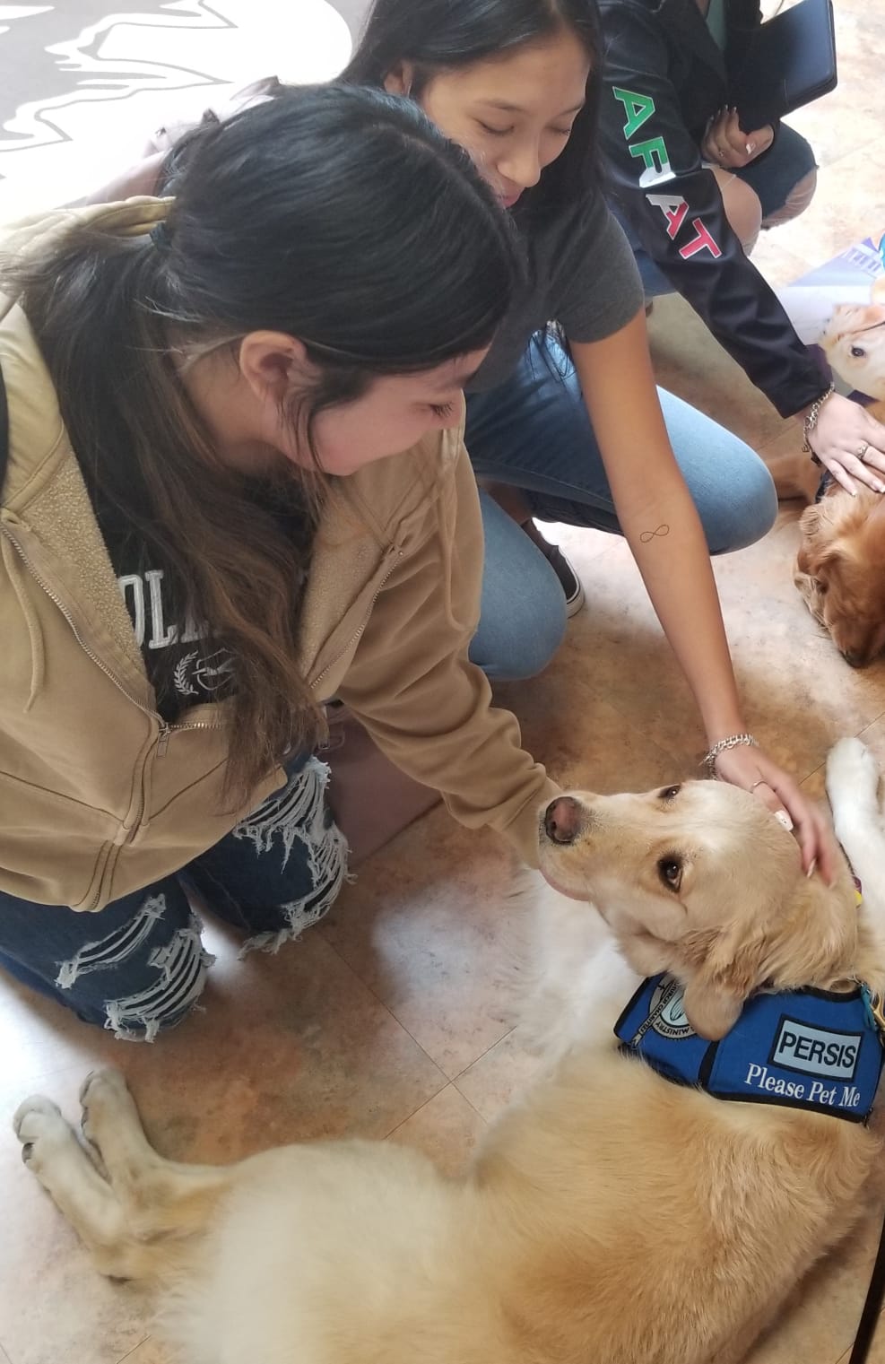 two students petting the same golden retriever who is laying on the ground and looking up at them lovingly.