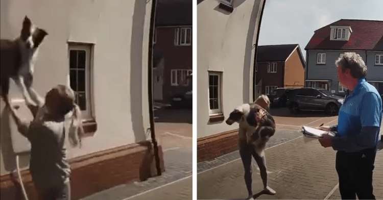 a two-photo collage. on the left there is a picture of a dog in the air as woman tries to catch him from his fall. on the right there is that same woman holding this dog in her arms.