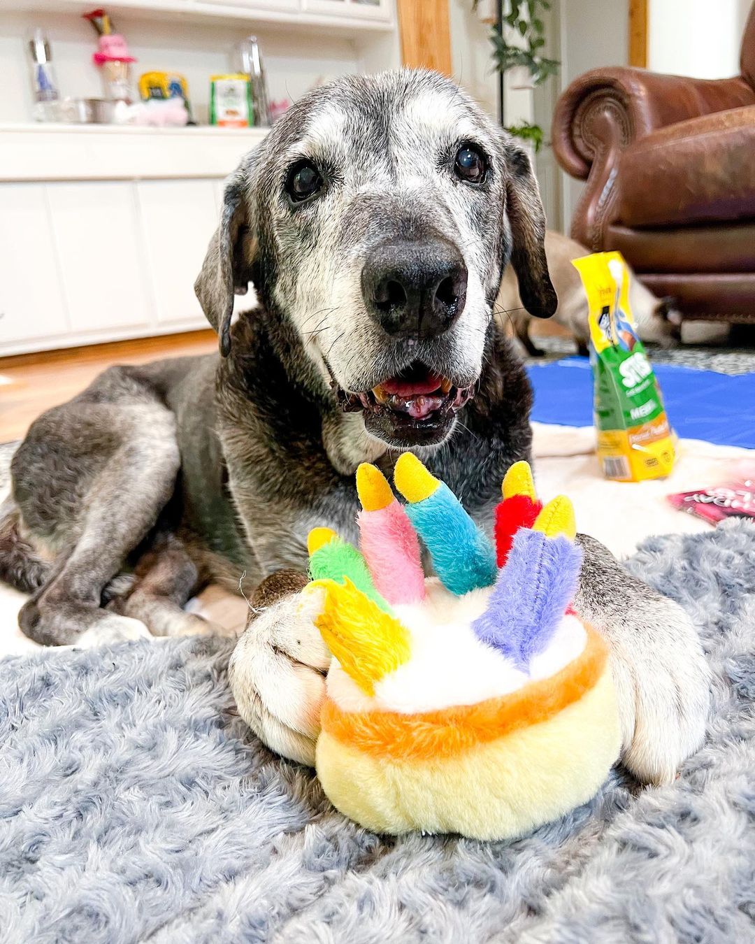 Annie having a birthday party with her toy birthday cake