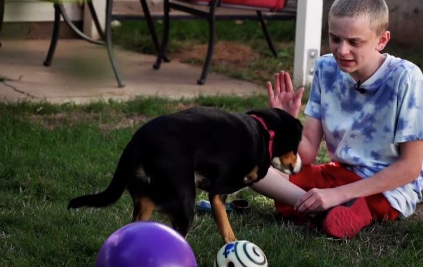 Just Like Me: 3-Legged Dog Gives Hope to Boy With Rare Genetic Disorder ...