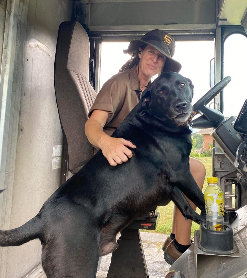 black lab inside UPS truck with driver