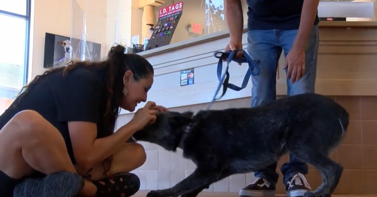 Marisa greeting her dog, Rufus, with pets.