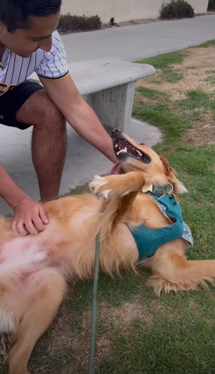 Sherwin giving Coby belly rubs