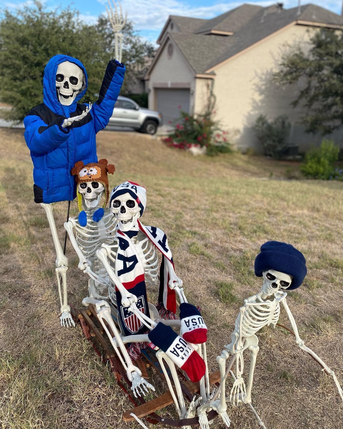 Skeleton House of San Antonio display of skeleton dog sledding