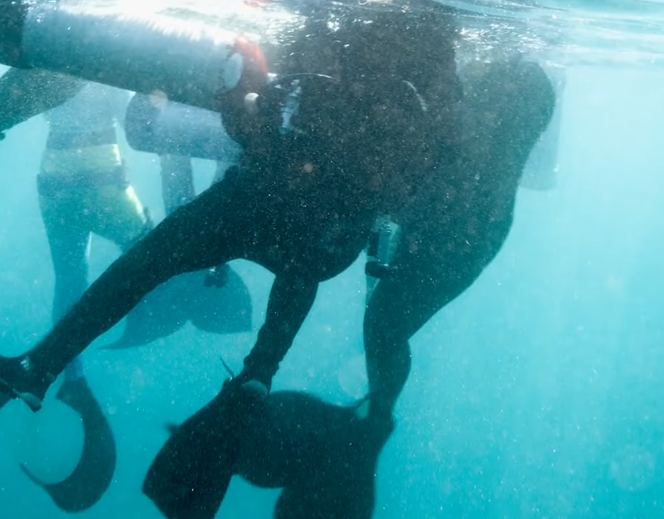 mermaids rescue Pablo Avila at sea