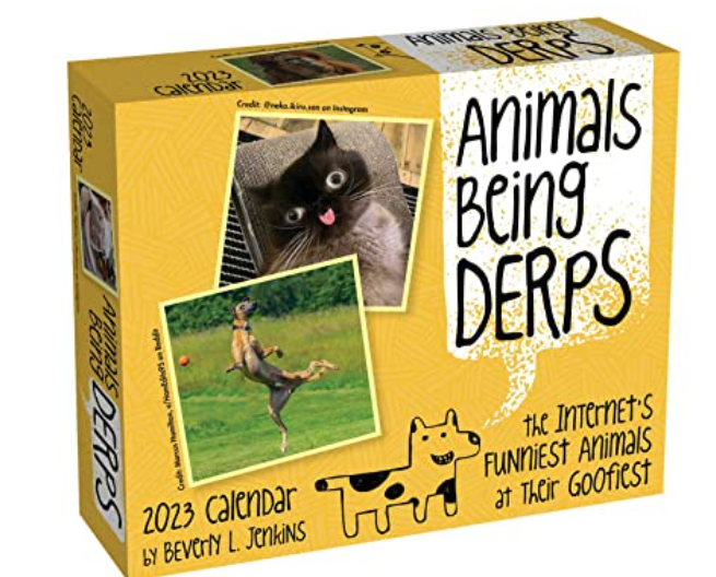 2023 Animals Being Derps day-to-day calendar by Beverly L. Jenkins