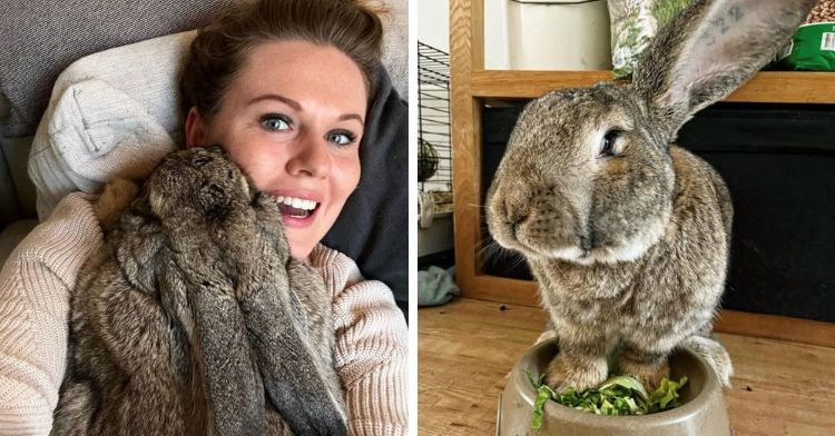 A two-photo collage. The first is a selfie of Danielle smiling big as she lays down with Guus laying on top of her. The second is of Guus the bunny standing with his front paws in his food bowl.