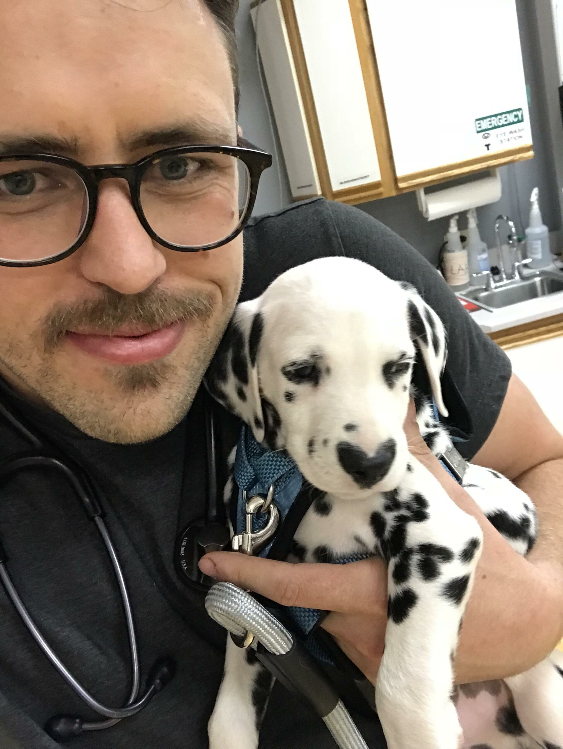 vet holding dalmatian puppy that has a heart mark on his nose