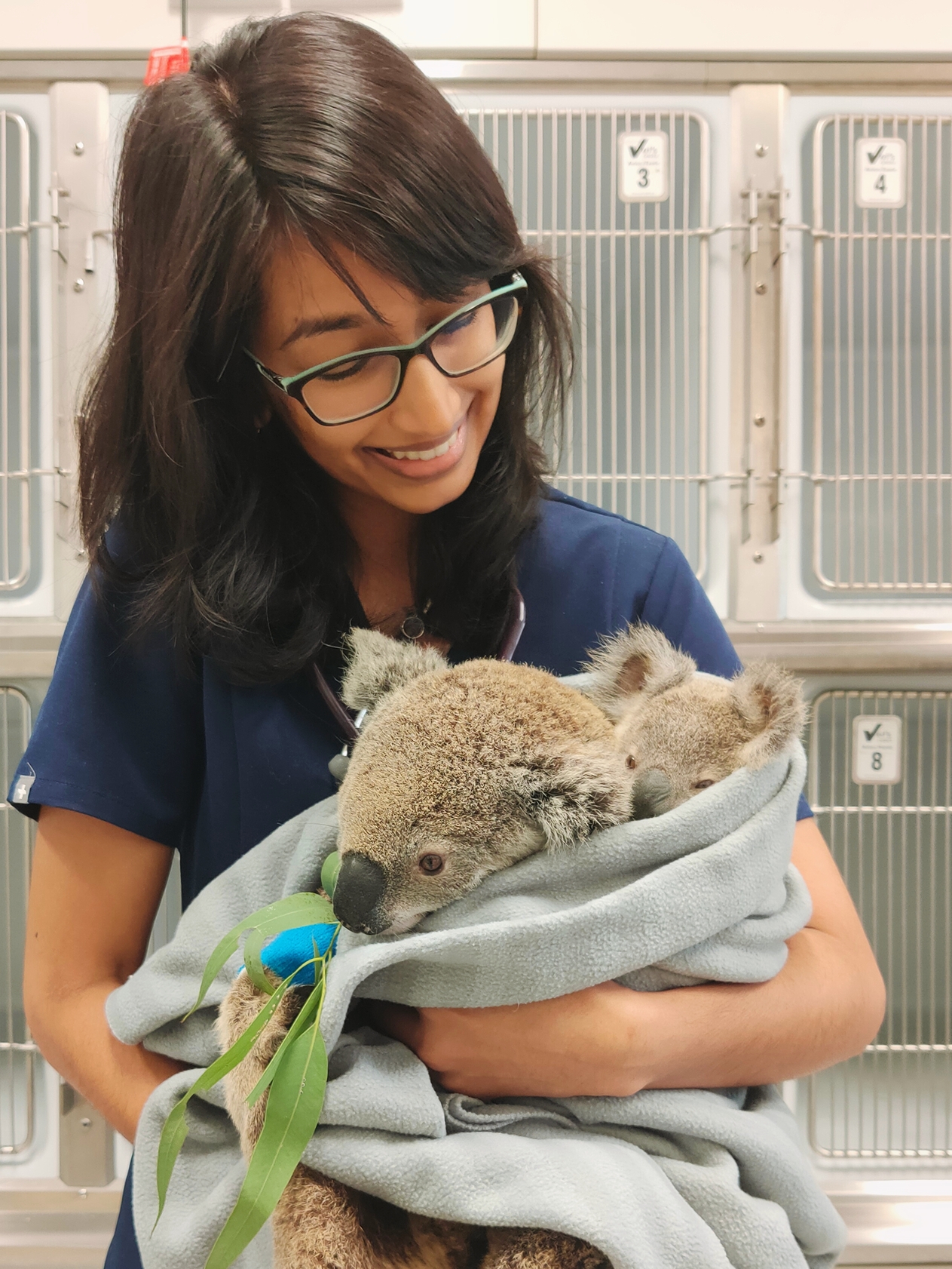 vet holding a wounded koala bear and her baby