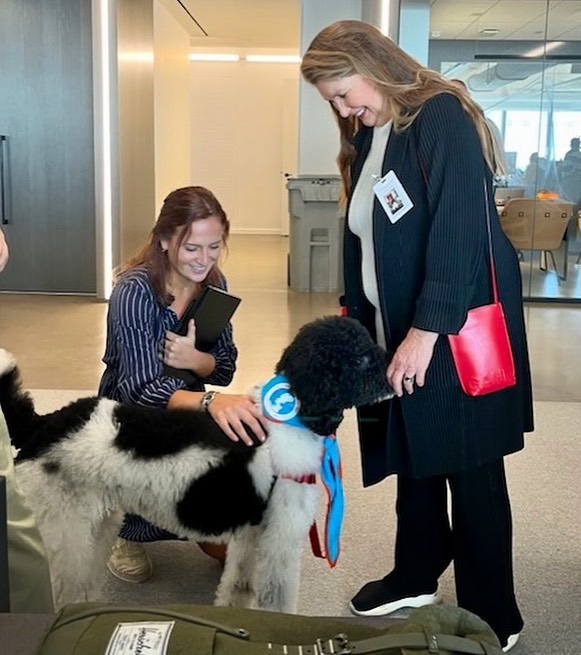 dog gets certified as therapy animal through The Good Dog Foundation. 