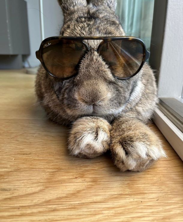 Guus wearing sunglasses, looking cool.