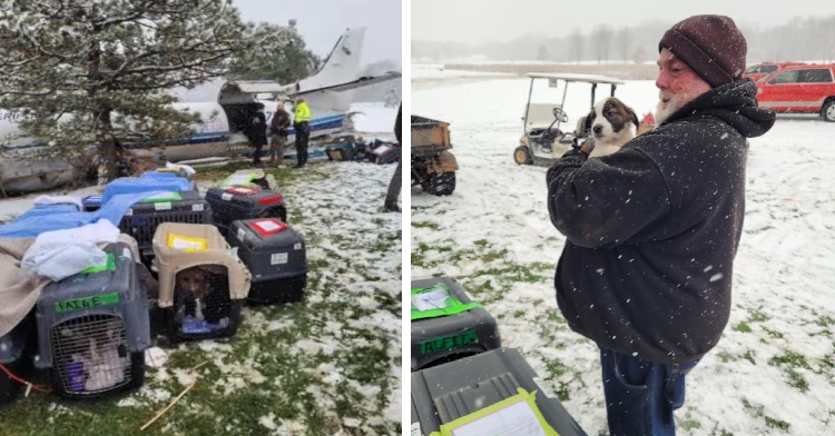 man holds shelter dog that survived plane crash