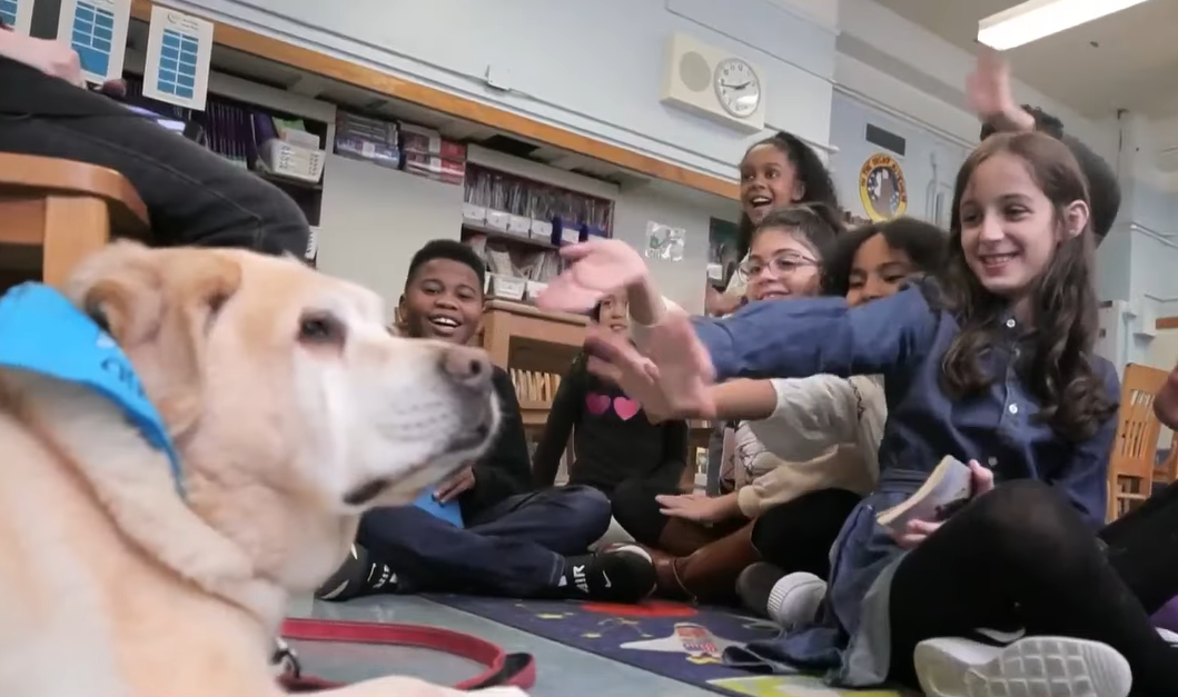 students petting Oliver the dog in school.