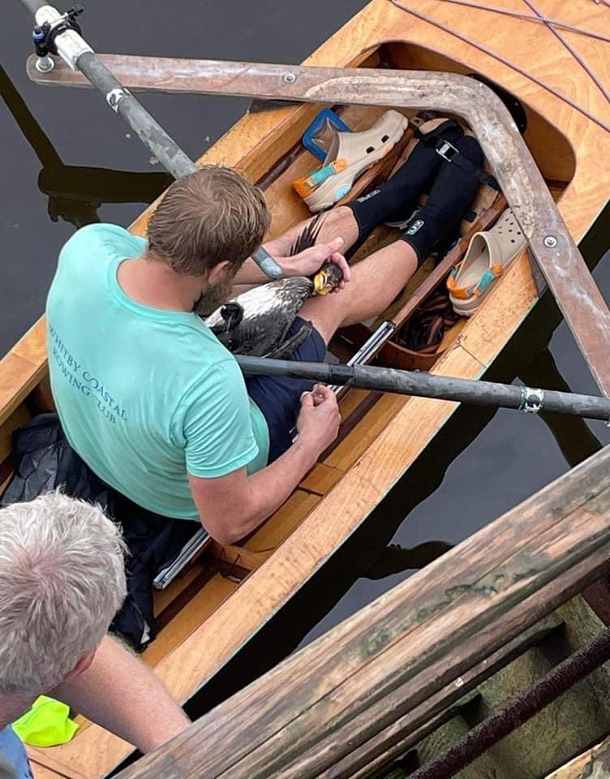 A man is cradling an injured cormorant.