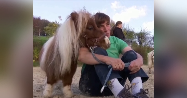 Pumuckel the pony might be the smallest in the world