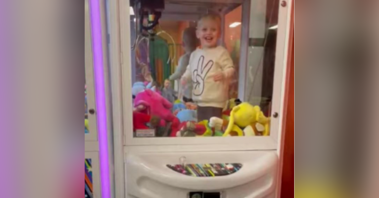 A toddler is seen smiling while inside a toy claw machine.